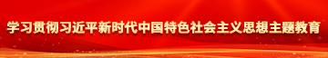 肏死我使劲视频学习贯彻习近平新时代中国特色社会主义思想主题教育